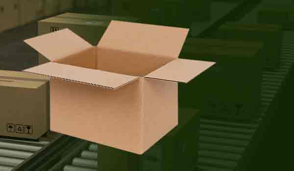 Brown Corrugated Packaging Box