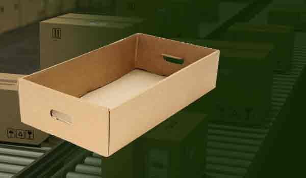 Corrugated Tray Box