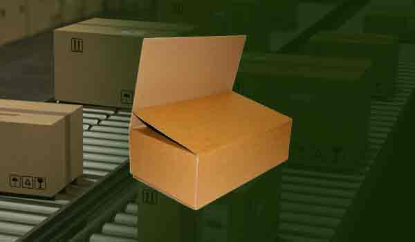 Fully Over Lap Slotted Box