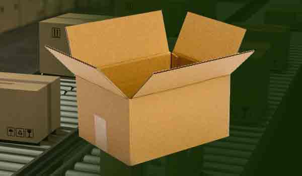 Regular Slotted Container Box